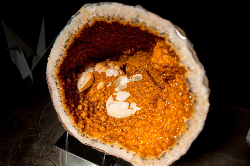 All - Natural Citrine Geode Cave with Rare Druzy, Flower Rosettes & Calcite Inclusions - E2D Crystals & Minerals