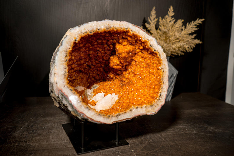 All - Natural Citrine Geode Cave with Rare Druzy, Flower Rosettes & Calcite Inclusions - E2D Crystals & Minerals