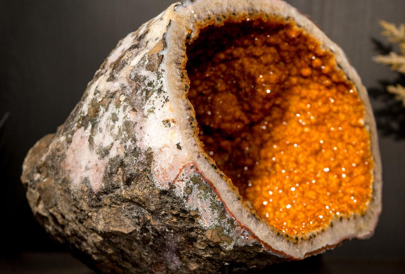 All - Natural Citrine Geode Cave with Rare Druzy, Flower Rosettes & Calcite Inclusions - E2D Crystals & Minerals