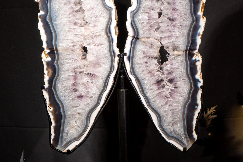 Large White & Blue Lace Agate Butterfly Wings Geode - E2D Crystals & Minerals