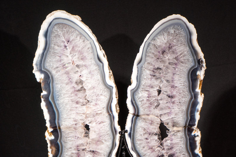 Large White & Blue Lace Agate Butterfly Wings Geode - E2D Crystals & Minerals