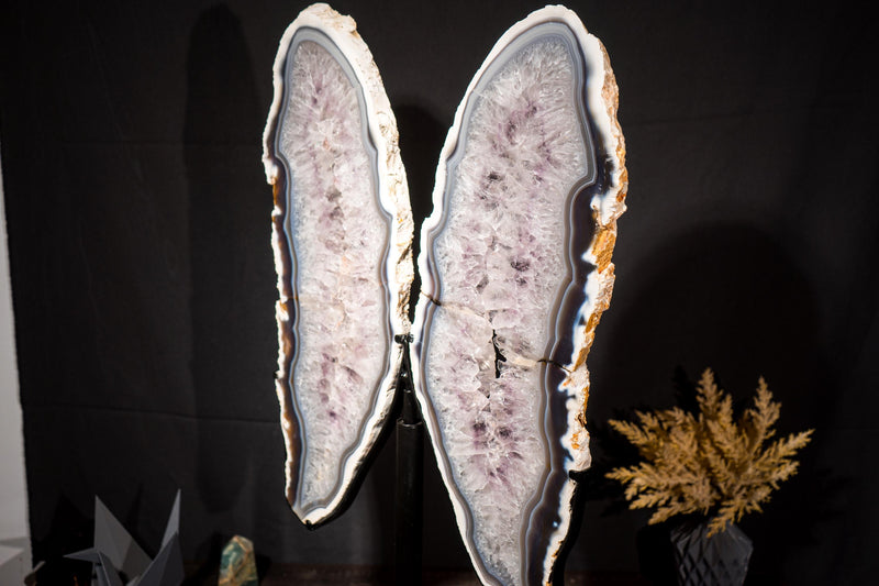 Large White & Blue Lace Agate Butterfly Wings Geode - E2D Crystals & Minerals