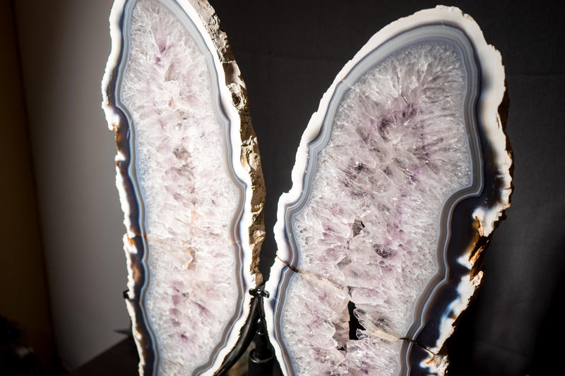 Large White & Blue Lace Agate Butterfly Wings Geode - E2D Crystals & Minerals