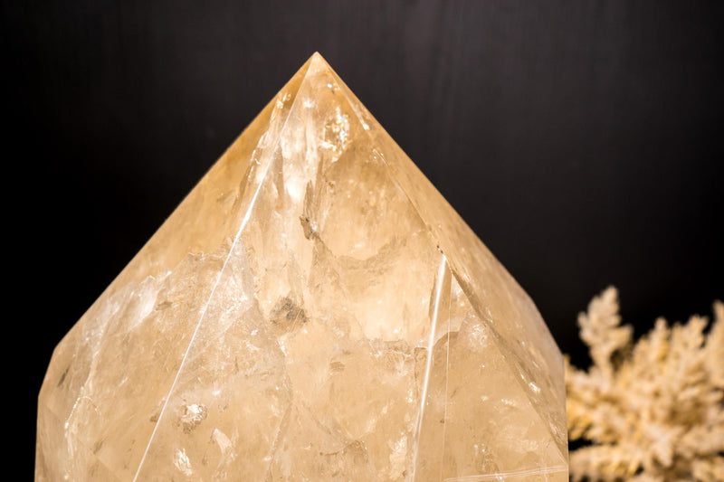 Genuine X - Large 65 lb Citrine Point – Ethical, All - Natural Brazilian Citrine Stone on Stand, Untreated Real Citrine - E2D Crystals & Minerals