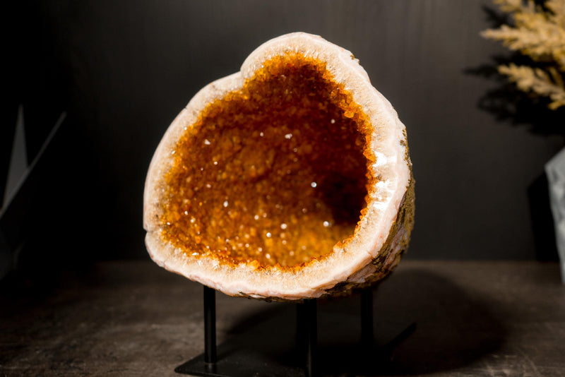 All - Natural Citrine Geode Cave with Golden - Orange Druzy & Flower Rosettes - E2D Crystals & Minerals