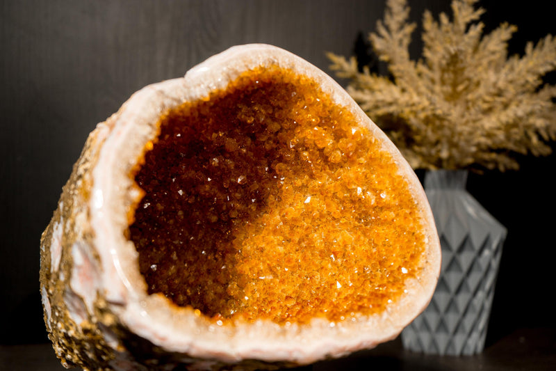 All - Natural Citrine Geode Cave with Golden - Orange Druzy & Flower Rosettes - E2D Crystals & Minerals