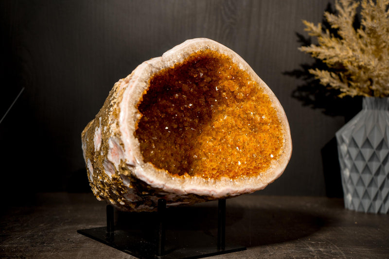 All - Natural Citrine Geode Cave with Golden - Orange Druzy & Flower Rosettes - E2D Crystals & Minerals