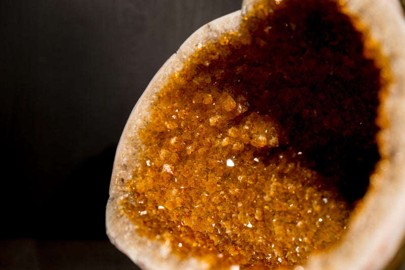 All - Natural Citrine Geode Cave with Golden - Orange Druzy & Flower Rosettes - E2D Crystals & Minerals