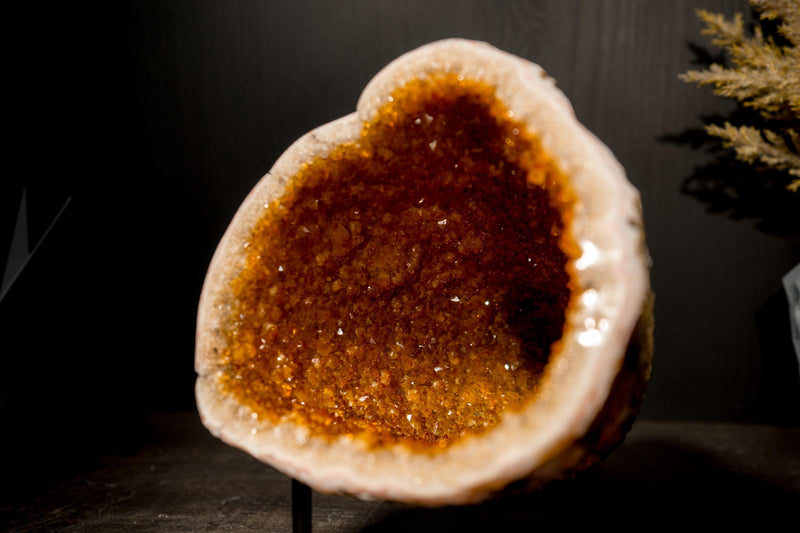 All - Natural Citrine Geode Cave with Golden - Orange Druzy & Flower Rosettes - E2D Crystals & Minerals