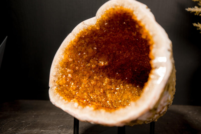 All - Natural Citrine Geode Cave with Golden - Orange Druzy & Flower Rosettes - E2D Crystals & Minerals