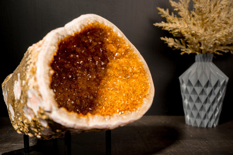 All - Natural Citrine Geode Cave with Golden - Orange Druzy & Flower Rosettes - E2D Crystals & Minerals