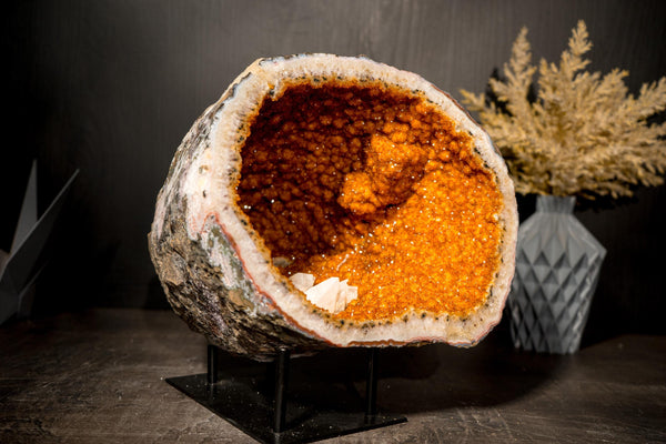 All - Natural Citrine Geode Cave with Rare Druzy, Flower Rosettes & Calcite Inclusions - E2D Crystals & Minerals