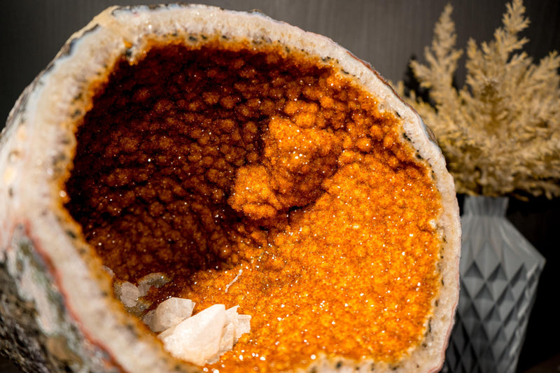 All - Natural Citrine Geode Cave with Rare Druzy, Flower Rosettes & Calcite Inclusions - E2D Crystals & Minerals