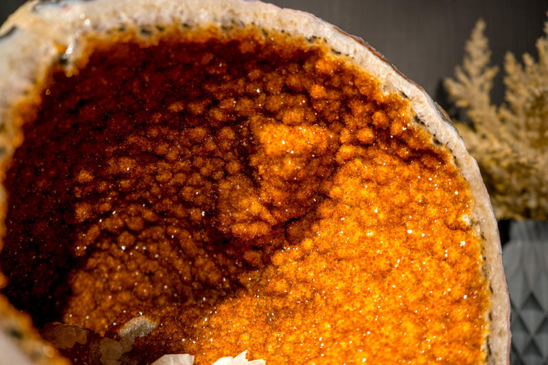 All - Natural Citrine Geode Cave with Rare Druzy, Flower Rosettes & Calcite Inclusions - E2D Crystals & Minerals