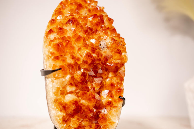 Natural Citrine Cluster with High - Grade Intense Orange Citrine Druzy with a on Stand - 3.0 Kg - 6.6 lb - E2D Crystals & Minerals