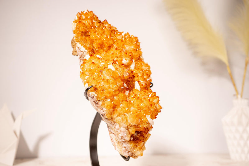 Gorgeous Golden Yellow Citrine Cluster with Delicate Flower Rosettes and Radiant Druzy - 4.0 Kg - 8.8 lb - E2D Crystals & Minerals