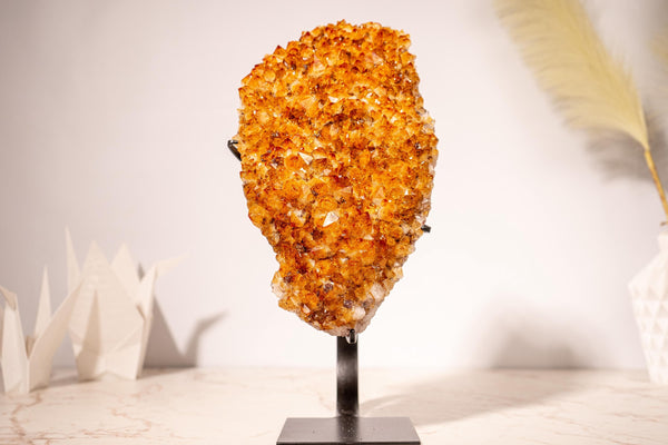 AAA - Grade Citrine Cluster with Intense Orange Druzy and Blossoming Flower Formation, Set on a Custom - Made Stand - 4.4 Kg - 9.7 lb - E2D Crystals & Minerals