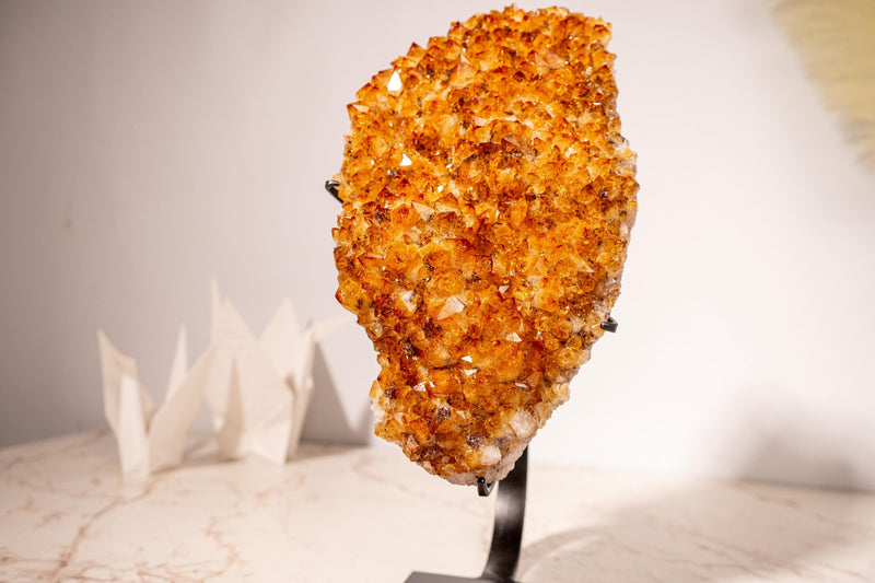 AAA - Grade Citrine Cluster with Intense Orange Druzy and Blossoming Flower Formation, Set on a Custom - Made Stand - 4.4 Kg - 9.7 lb - E2D Crystals & Minerals