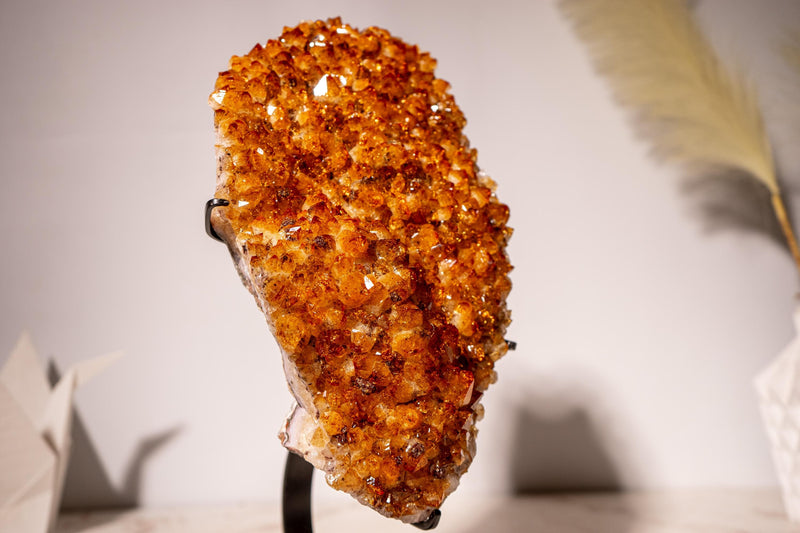 AAA - Grade Citrine Cluster with Intense Orange Druzy and Blossoming Flower Formation, Set on a Custom - Made Stand - 4.4 Kg - 9.7 lb - E2D Crystals & Minerals