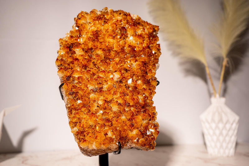 AAA - Grade Citrine Cluster with Sparkly Intense Orange Druzy and Aesthetical Formation, Set on a Custom - Made Stand - 13.8 In - 9.2 Lb - E2D Crystals & Minerals