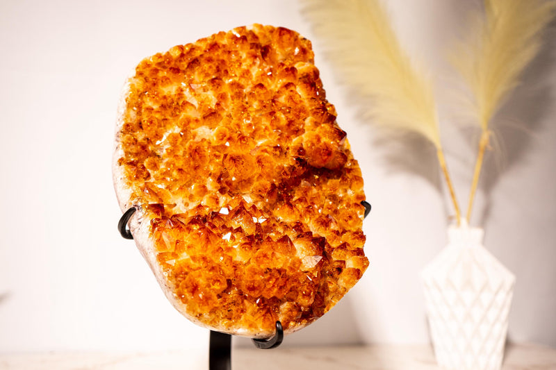 Natural AAA - Grade Citrine Flower Cluster with Rare Sunset Orange Citrine Druzy on Stand - 4.5 Kg - 9.8 lb - E2D Crystals & Minerals