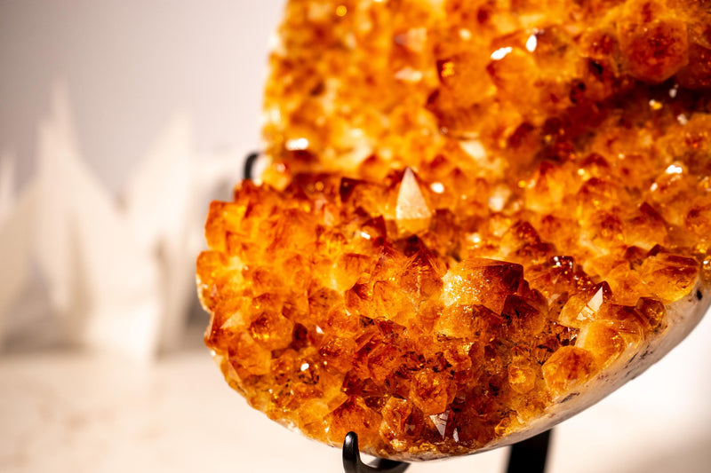 Natural AAA - Grade Citrine Flower Cluster with Rare Sunset Orange Citrine Druzy on Stand - 4.5 Kg - 9.8 lb - E2D Crystals & Minerals