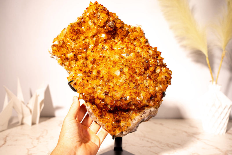 20 Lb Large Madeira Citrine Cluster with Sparkly Druzy & Flower Rosettes - E2D Crystals & Minerals