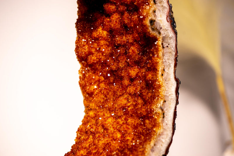 Citrine Geode Portal with Flower Stalactites and Galaxy Druzy - E2D Crystals & Minerals