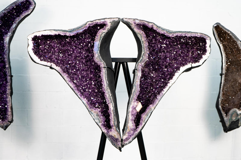 Large 64 - Inch Amethyst Butterfly Wings Geode – Dolphin Formation - E2D Crystals & Minerals