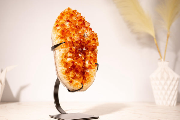 Natural Citrine Cluster with High - Grade Intense Orange Citrine Druzy with a on Stand - 3.0 Kg - 6.6 lb - E2D Crystals & Minerals