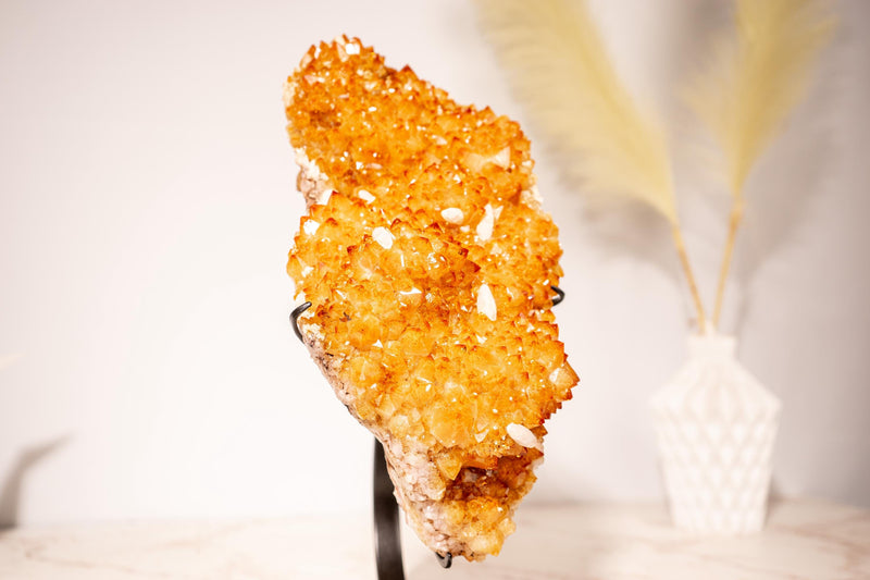 Gorgeous Golden Yellow Citrine Cluster with Delicate Flower Rosettes and Radiant Druzy - 4.0 Kg - 8.8 lb - E2D Crystals & Minerals