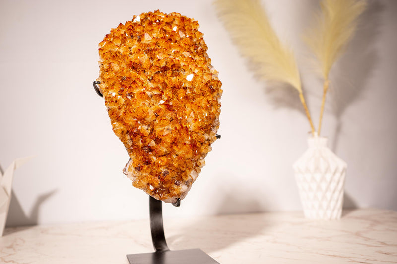 AAA - Grade Citrine Cluster with Intense Orange Druzy and Blossoming Flower Formation, Set on a Custom - Made Stand - 4.4 Kg - 9.7 lb - E2D Crystals & Minerals