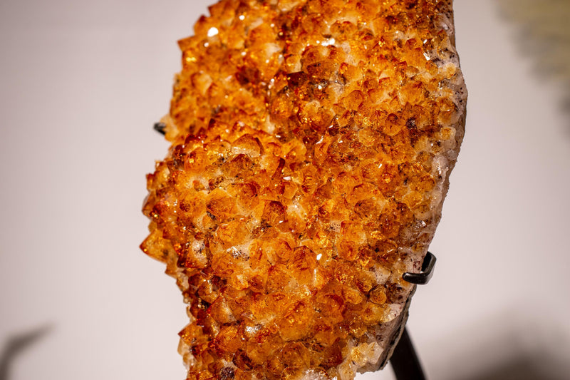 AAA - Grade Citrine Cluster with Intense Orange Druzy and Blossoming Flower Formation, Set on a Custom - Made Stand - 4.4 Kg - 9.7 lb - E2D Crystals & Minerals