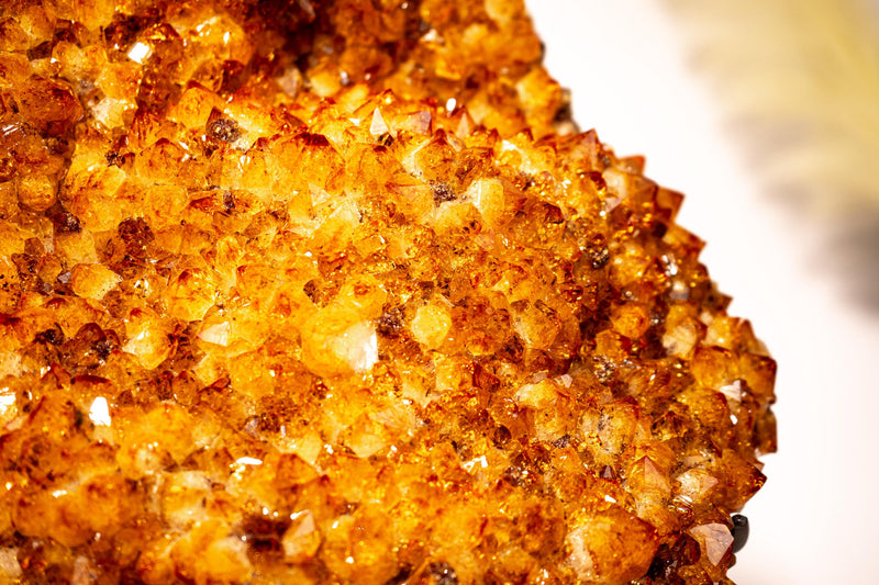 20 Lb Large Madeira Citrine Cluster with Sparkly Druzy & Flower Rosettes - E2D Crystals & Minerals