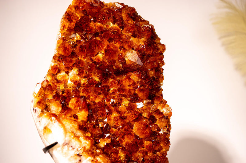 AAA Madeira Citrine Cluster with Large Citrine Druzy - E2D Crystals & Minerals