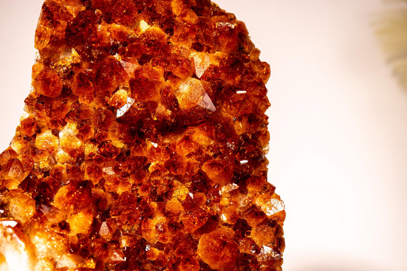 AAA Madeira Citrine Cluster with Large Citrine Druzy - E2D Crystals & Minerals