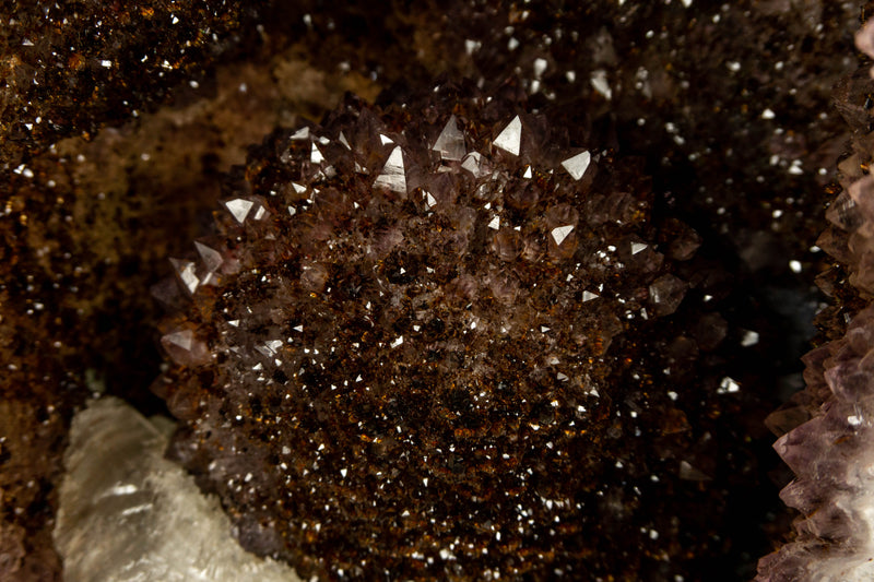 Natural Amethyst Geode with Golden Goethite Cacoxenite and Gypsum var. Selenite Crystal collective