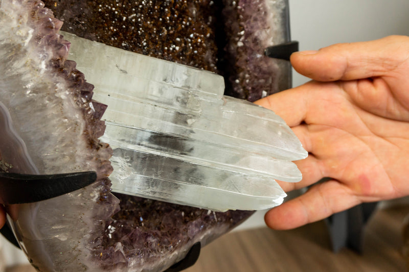 Natural Amethyst Geode with Golden Goethite Cacoxenite and Gypsum var. Selenite Crystal collective