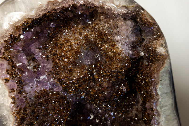 Natural Amethyst Geode with Golden Goethite Cacoxenite and Gypsum var. Selenite Crystal collective