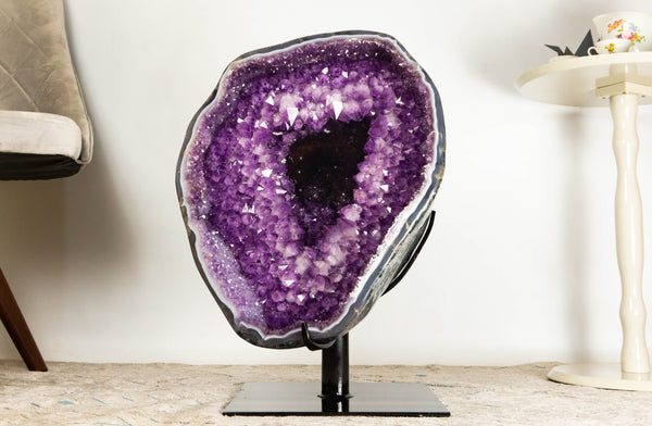 Gallery Grade X-Large Amethyst Geode Cave with Rare Druzy Clusters - E2D Crystals & Minerals