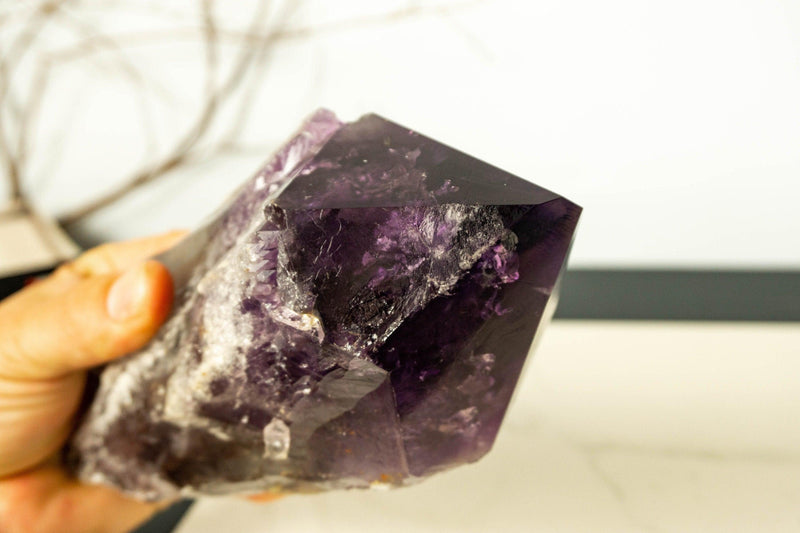 X-Large Bahia Amethyst Scepter with Phantoms, Dragon Tooth Amethyst i_did