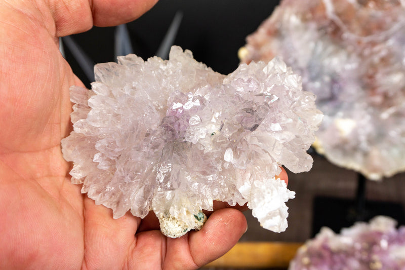 Set of 4 Rare Amethyst Rosette AKA Amethyst Flower Plate collective