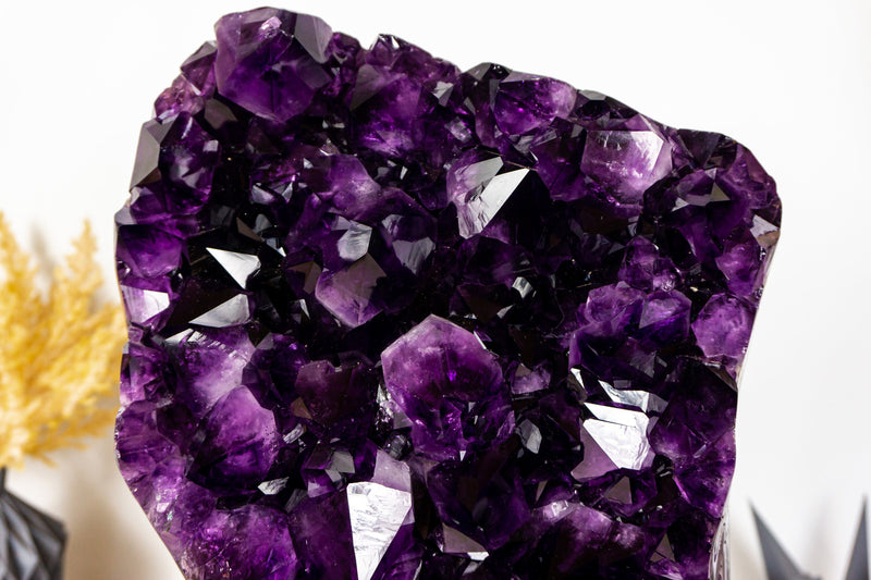 Spektakulärer großer AAA-Amethyst-Geodencluster mit extragroßem dunkelvioletten Amethyst-Drusen. 14 kg – 30,3 lb