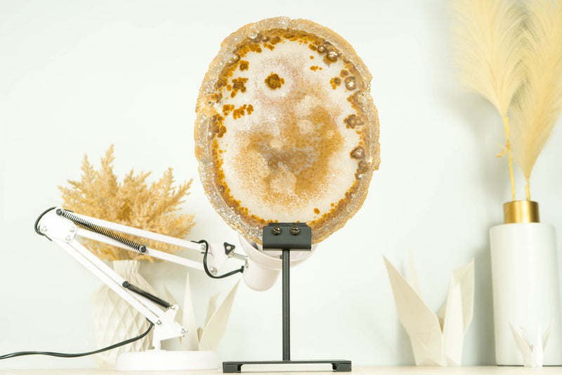 AAA Large Natural Undyed Golden Lace Agate Slice with Flower Rosette