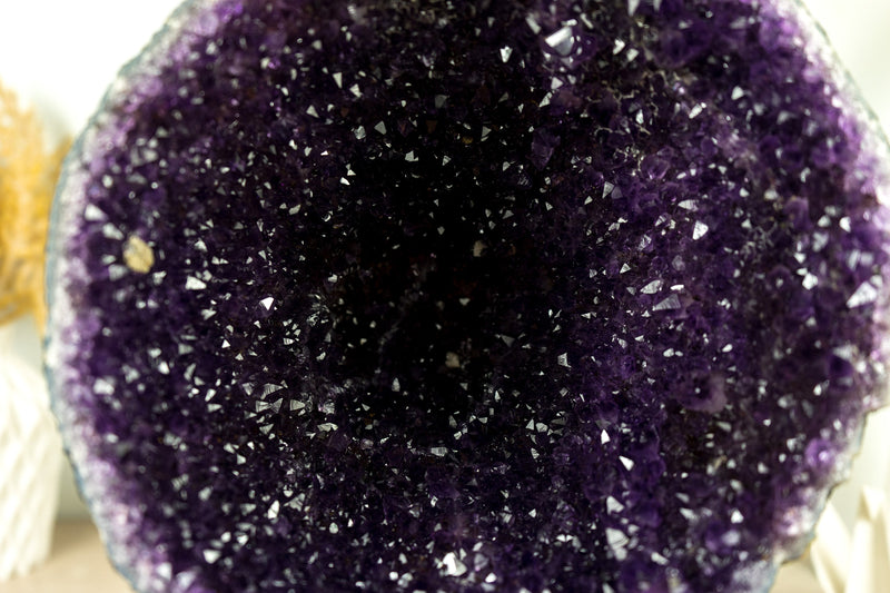 All Natural Amethyst Geode Cave with Deep Purple Galaxy Amethyst Druzy
