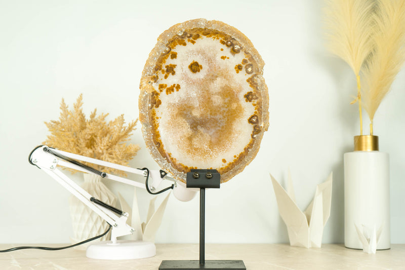 AAA Large Natural Undyed Golden Lace Agate Slice with Flower Rosette