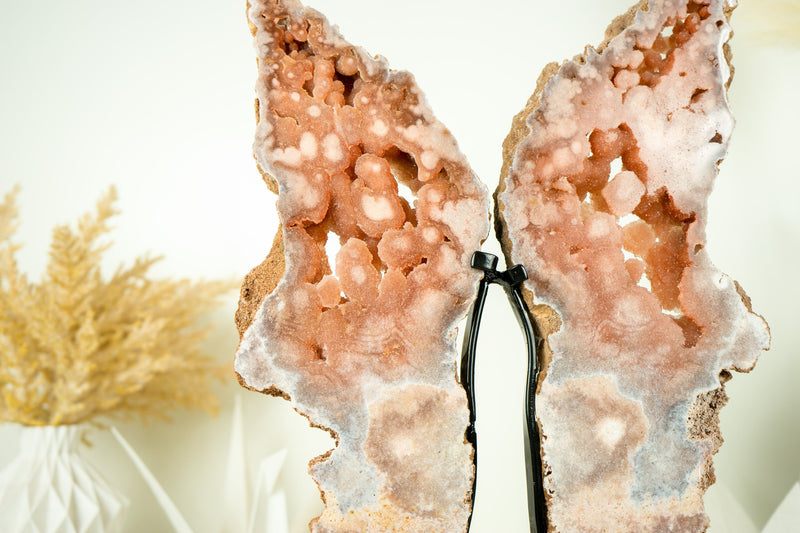 Pink Amethyst Wings, AAA Pink Butterfly Wing Geode with Galaxy Amethyst Druzy