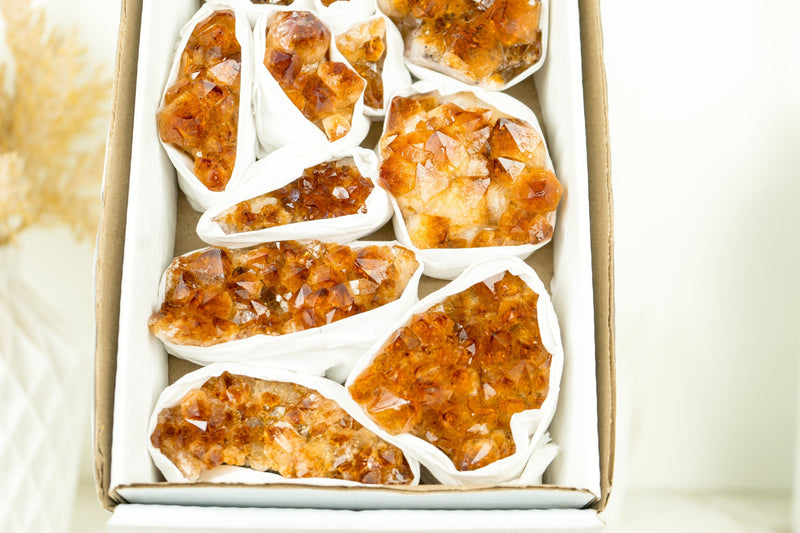 Wholesale AAA Deep Orange Citrine Clusters Flat Box - Mineral Flat, Wholesale Bulk - 11 Clusters, 1.5 Kg - 3.4 lb - E2D Crystals & Minerals