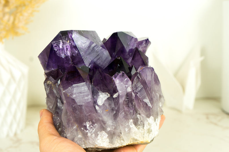 Natürlicher Traubengelee-lila Amethyst-Cluster mit großem Drusy