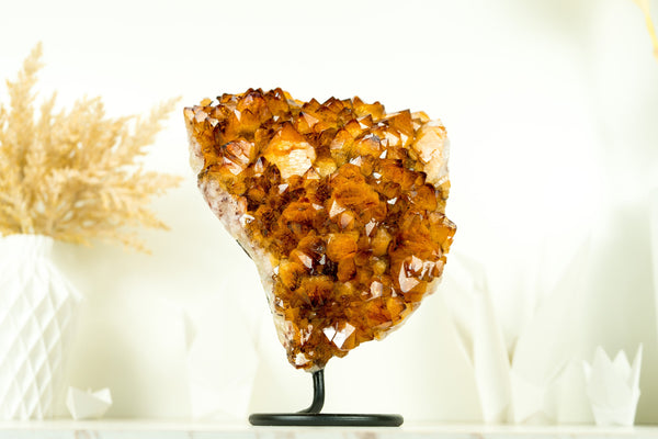 Natural Rich Orange Citrine Cluster with AAA Madeira Orange Citrine Druzy on Stand - 4.1 Kg - 9.0 lb - E2D Crystals & Minerals